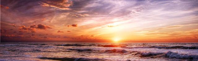 大明星的貼身保鏢繁體免費章節免費享，期待您的品鑒