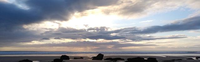 上門龍婿葉辰蕭初然_第2993章 抵達紐約