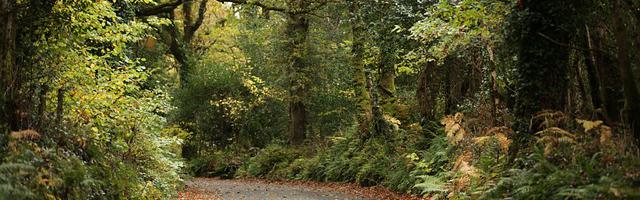 都市神醫葉辰很囂張_第12228章 鎮壓（三章合一）