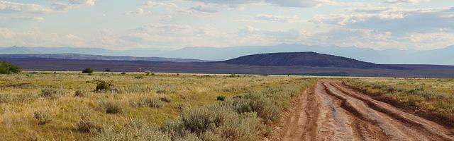 上門龍婿葉辰蕭初然_第242章 魏家神藥