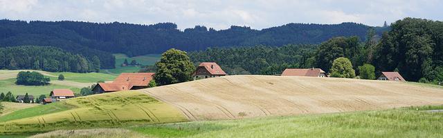 上門龍婿葉辰蕭初然_第68章 蕭海龍裝逼