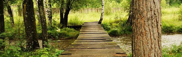 都市神醫葉辰很囂張_第12248章 貪婪（三章合一）