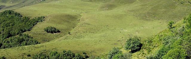 都市神醫葉辰很囂張_第99章 你強！（加更，求推薦票！）