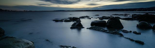 上門龍婿葉辰蕭初然_第2736章 利用