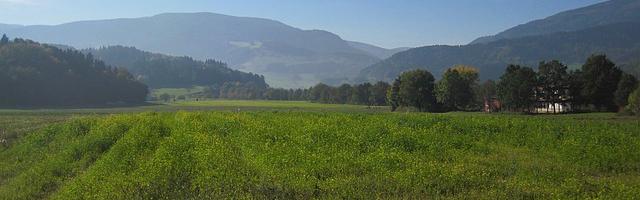上門龍婿葉辰蕭初然_第72章 永遠沒有可能