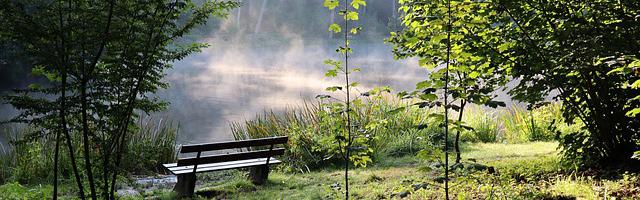 上門龍婿葉辰蕭初然_第3276章 送溫暖