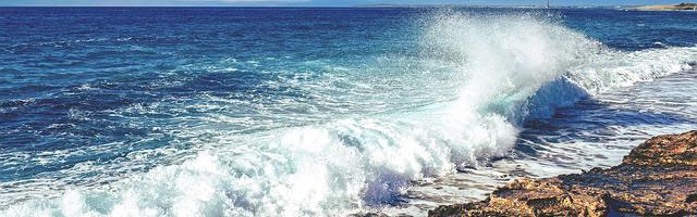 都市神醫葉辰很囂張_第60章 滾出我的視線！（求推薦票呀~）