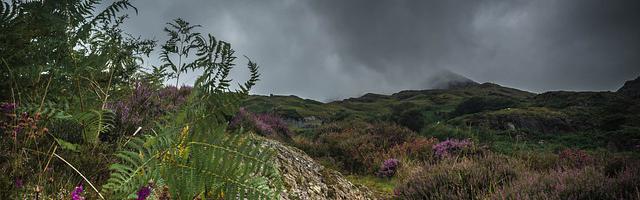 將軍好兇猛繁體免費章節免費享，期待您的品鑒