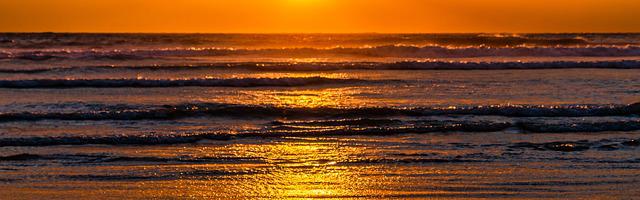 都市神醫葉辰很囂張_第12169章 回來！