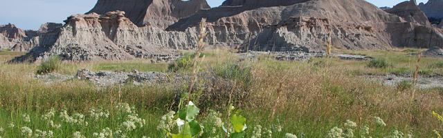 斗破之元素封神繁體免費章節免費享，期待您的品鑒