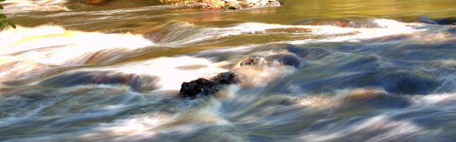 上門龍婿葉辰蕭初然_第3217章 全資收購