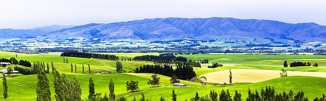 詭案追兇繁體免費章節，邀您共賞
