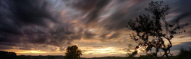 上門龍婿葉辰蕭初然_第119章 王道坤請客