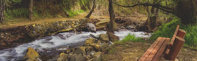 都市神醫葉辰很囂張_第12272章 求救（三章合一）