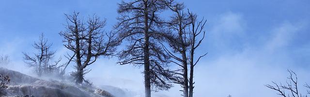 電影世界私人訂制繁體免費章節，邀您共賞