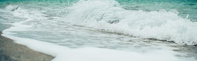 上門龍婿葉辰蕭初然_第3159章 社會是一個巨大的食物鏈