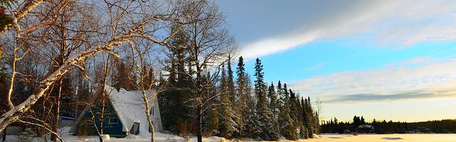 都市神醫葉辰很囂張_第233章 不需要！（一更！）