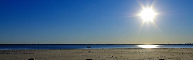 神墓繁體免費章節，邀您共賞