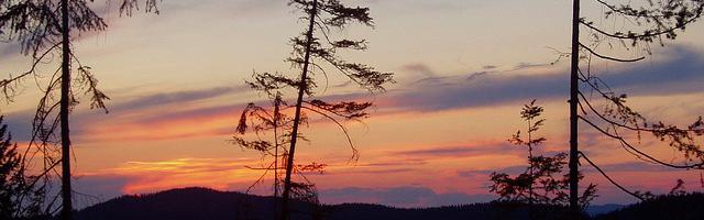 都市神醫葉辰很囂張_第 12002 章 不許