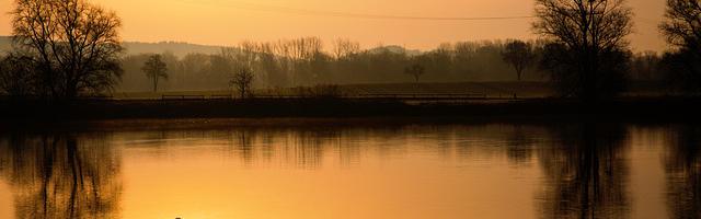 都市神醫葉辰很囂張_第 12070 章 你敢！