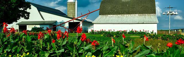 都市神醫葉辰很囂張_第12168章 蠢蠢欲動