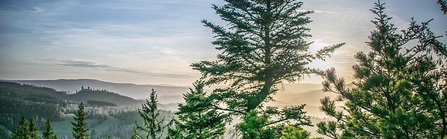 都市神醫葉辰很囂張_第12311章 四神獸（三合一）