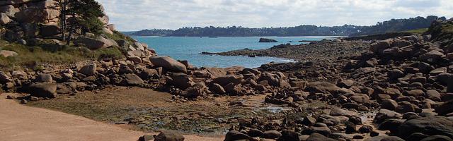 上門龍婿葉辰蕭初然_第258章 隱忍多年只為報仇雪恨