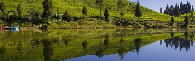 醉承歡繁體免費章節，邀您共賞