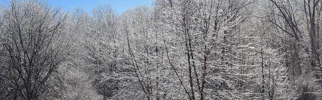 上門龍婿葉辰蕭初然_第3110章 自求多福吧！