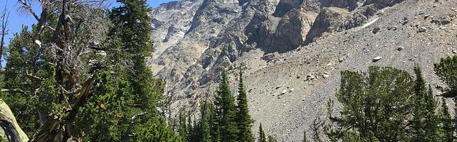 都市神醫葉辰很囂張_第91章 不可控！（求推薦票！）