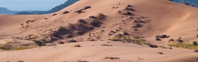 諸天從完美世界開始繁體免費章節，邀您共賞
