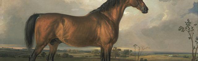 無限獵殺繁體免費章節，邀您共賞