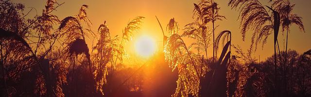 英雄無敵之爭鋒繁體免費章節免費享，期待您的品鑒