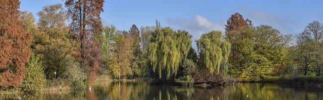 都市神醫葉辰很囂張_第12309章 你的神權（三合一）