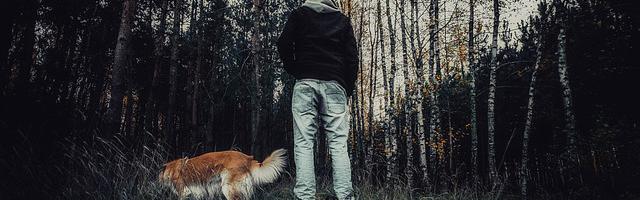 都市神醫葉辰很囂張_第12205章 將要離開？