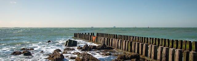 都市神醫葉辰很囂張_第11501章 誰因禍得福？