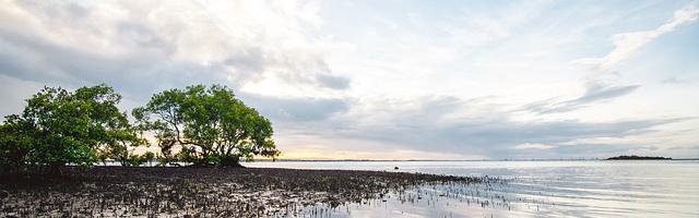 上門龍婿葉辰蕭初然_第3158章 報仇雪恨