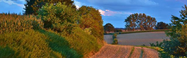 都市神醫葉辰很囂張_第12118章 不抗拒