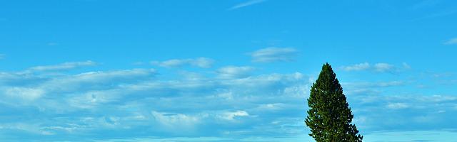 朝陽警事繁體免費章節，邀您共賞