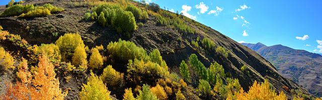 都市神醫葉辰很囂張_第12182章 熟悉的人