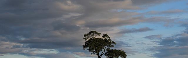 我的成神日志繁體免費章節，邀您共賞