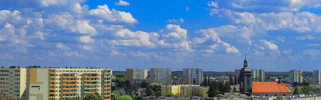 都市神醫葉辰很囂張_第11章 臥槽，一百位大能？