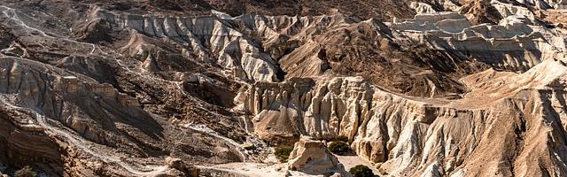 上門龍婿葉辰蕭初然_第2章 我有現金一百億