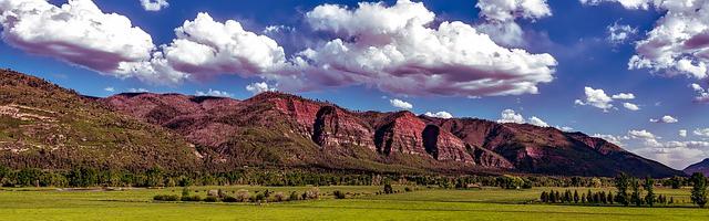 上門龍婿葉辰蕭初然_第2986章 送你上路！