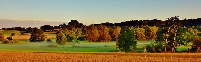 上門龍婿葉辰蕭初然_第86章 今天就跟你搶了！