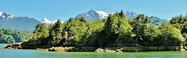 上門龍婿葉辰蕭初然_第235章 遠離渣男！