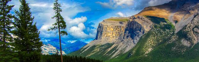 四合院不甘心的許大茂繁體免費章節，邀您共賞