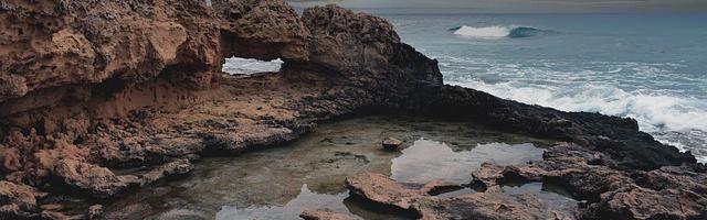 上門龍婿葉辰蕭初然_第3033章 一定有貓膩