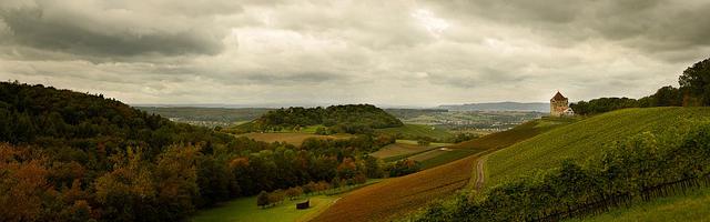 上門龍婿葉辰蕭初然_第126章 你破產了