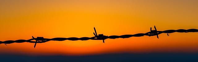 上門龍婿葉辰蕭初然_第150章 葉大師設宴